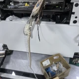 southern-machinery-customized-feeder-solution-img-20250403-144213-0143